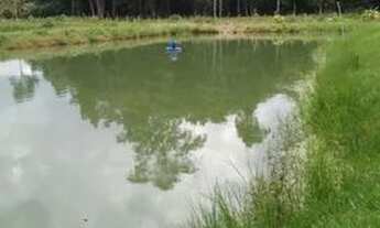 Imagem 7: SITIO NO RAMAL DA COOPERATIVA