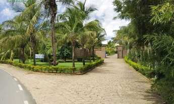 Imagem: Casa com 3 dormitórios para alugar, 255