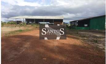 Imagem 2: Uruçuí - Fazenda - Região Rural