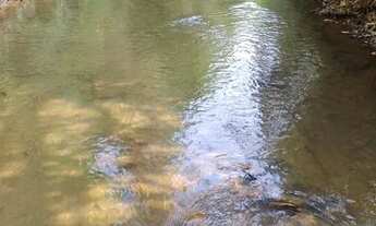 Imagem: Vendo chácara em município de Piracanjuba