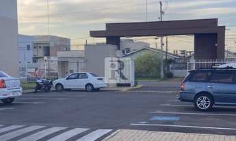 Imagem 3: PINHAIS - Padrão - Weissópolis