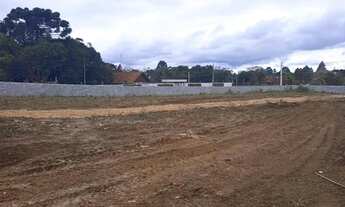 Imagem 3: Terrenos: Cond Ótima Localização Prox Reg Jd das Gr Graças Colombo