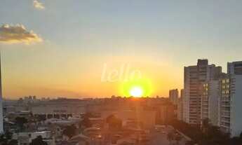 Imagem 5: São Paulo - Apartamento Padrão - Mandaqui