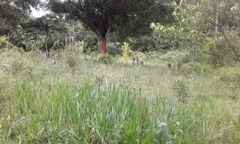 Imagem 2: Terreno 20x50 Crispim