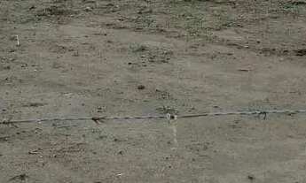 Imagem 2: Lote Casa com venda com preço sob consulta