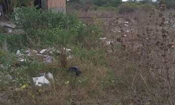 Imagem 5: Vende-se terreno