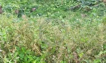 Imagem 3: FLORIANóPOLIS - Terreno Padrão - Carvoeira