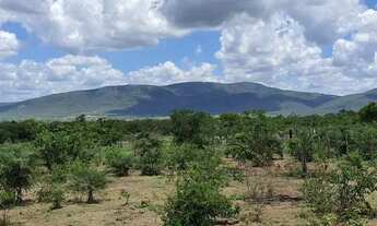Imagem 4: TERRENO PARA VENDA NA CIDADE DE SANTA TEREZINHA-BA