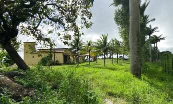 Imagem 6: Alugo casa para o São João