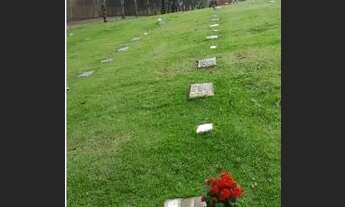 Imagem: Terreno cemitério aleias