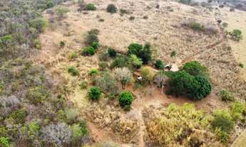 Imagem 5: ?Fazenda 5 alqueires à venda. Aceito casa no negócio com volta