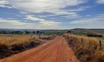 Imagem 4: Chacára Condomínio Em Uberlândia (10 Km Centro Dist.Bahamas