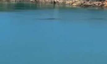 Imagem 4: Terrenos de 5000m2 na represa ! 10