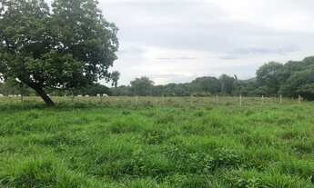 Imagem 2: FAZENDA NO TO/GO GRANDE OPORTUNIDADE