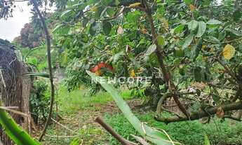 Imagem 3: Sítio em Estrada Cachamorra - Campo Grande - Rio de Janeiro/RJ