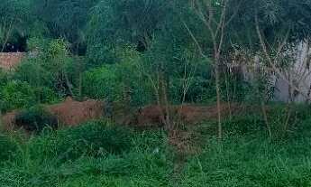 Imagem 5: Terreno Portal da Amazônia e São Francisco