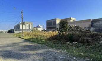 Imagem 6: CAXIAS DO SUL - Terreno Padrão - SÃO LUIZ DA 6ª LÉGUA