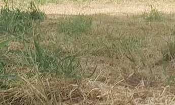 Imagem 5: Terreno em sítio novo mateus leme