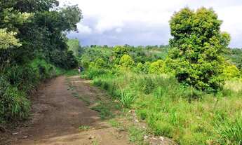 Imagem 3: Vendo maravilhoso sítio em Valença p