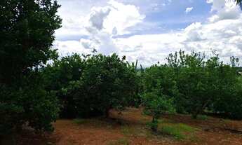 Imagem 6: Lote condomínio Canaã - Terra Santa