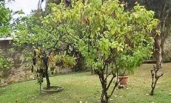 Imagem 7: CASA TÉRREA - JARDIM PAULISTA - SP