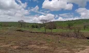 Imagem 4: Fazenda Fazenda / sítio com venda por R$420.000
