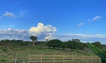 Imagem 2: Vende-se uma fazenda ?