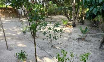 Imagem 2: Chacara no Arraial em São Luís Maranhão