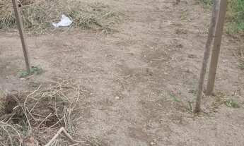 Imagem 4: Terreno 7/15 no nova vitória