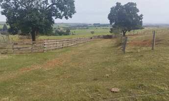 Imagem 3: Sitio em cajuru 6 alqueires 1.500.000.00 ( d