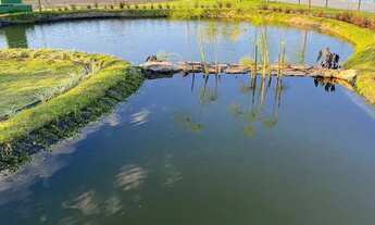 Imagem 6: Terreno de 459,15m² à venda no Village Damha II (SIM