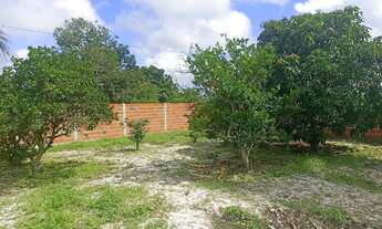 Imagem 5: Mini Sítio em Coité