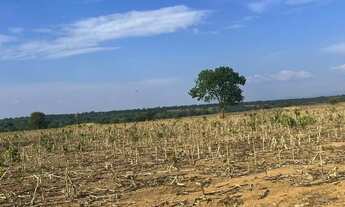Imagem 3: FAZENDA 222 ALQUEIRES EM PORANGATU GO