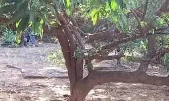 Imagem 4: Terreno de 730m² à venda em Jardim Palmeiras Montes Claros -MG