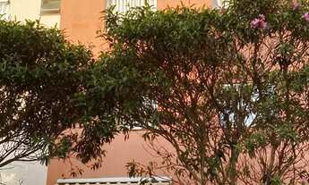 Imagem: Cobertura no bairro Santa Clara, em Viçosa-MG