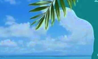 Imagem 3: Repasse! Apartamento pé na areia na praia de Antunes Maragogi