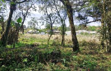 Imagem 7: Área à venda medindo 2663 m² por R$ 1.200.000 - Paloma - Colombo/PR