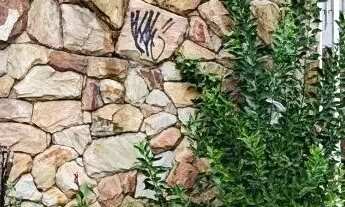 Imagem 2: Casa com 4 quartos para alugar em Belo Horizonte