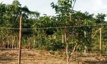 Imagem: Lote em condomínio em Rua Pacífico Mascarenhas