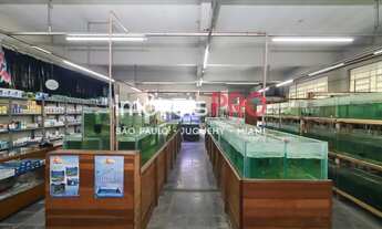 Imagem 4: Predio com tres pavimentos com lajes livres