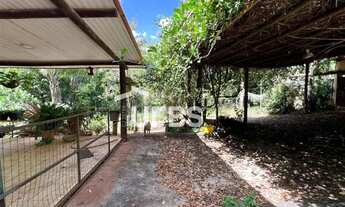 Imagem 7: Chácara Rica em Água e com localização Privilegiada - Sítios Recreio Ipê