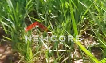 Imagem 6: Fazenda em Área Rural - Área Rural de Uberlândia - Uberlândia/MG