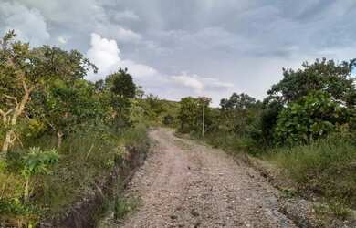Imagem 4: Chácara para Venda em Cocalzinho de Goiás, Zona Rural, 1 dormitório, 1 banheiro, 15 vagas