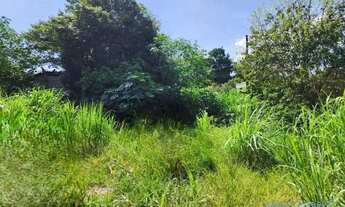 Imagem 4: COMERCIAL - VILA SÃO CRISTÓVÃO - SP