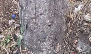 Imagem 4: Oportunidade única! Terreno à venda em Cidade Ariston Estela Azevedo, Carapicuíba