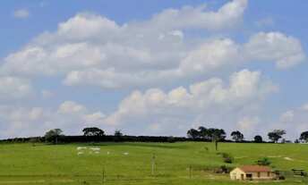 Imagem: Sitio nas margens da rodovia Washington