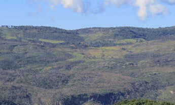 Imagem 3: Área de 85000m2, com nascente e córrego perene só R$110 mil