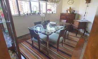 Imagem 4: SãO PAULO - Padrão - Moema