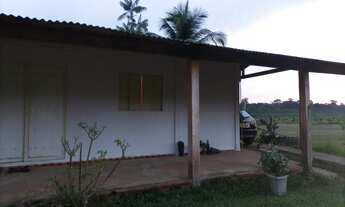 Imagem 3: SITIO/FAZENDA LOCALIZADO EM BALBINA