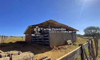 Imagem 7: Belíssima fazenda a 45 km de goiânia!